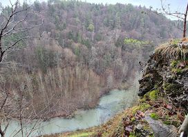Höhlenruine Riesenburg