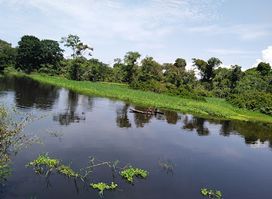 AMAZONAS BEST EXPERIENCE
