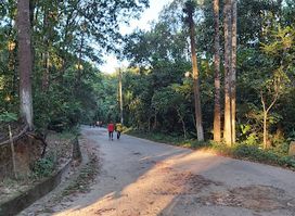 Tilagor Reserve Forest