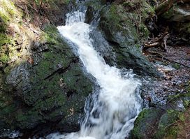 Rissfälle