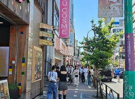 Shin-Okubo Korean Town