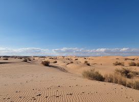 Dunes of Wadi Araba