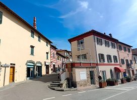 Solociccia