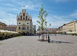 Rynek miejski w Rzeszowie