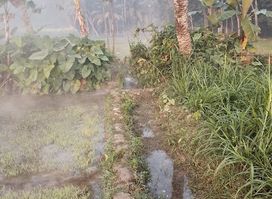 রাজবাড়ি