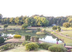 Osho Garden