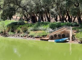 Urban City Forest Kenitra