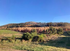 Sierras de minas