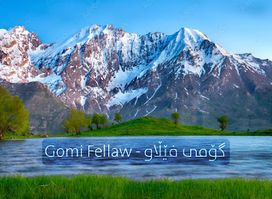 Gomi Fellaw گۆمی فێڵاو
