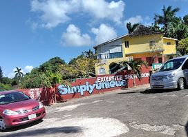 Simply Unique Household & More