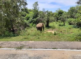 Somawathiya National Park