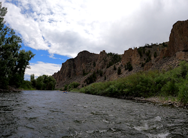 Scenic River Tours Inc