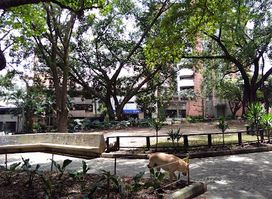 Primer Parque de Laureles