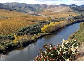 Arribes del Duero Natural Park