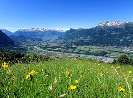 Liechtenstein Marketing
