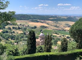 Gattavecchi Winery