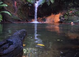 Wasai Batu Mapan