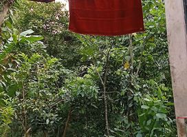 tempat tinggal