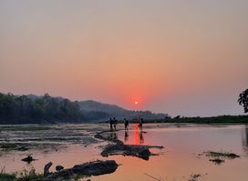 Jungle Explore Tours