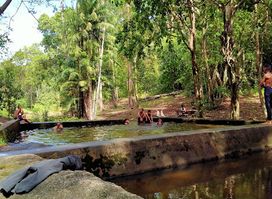 Hutan Simpan Beserah