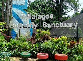Malagos Chocolate Museum