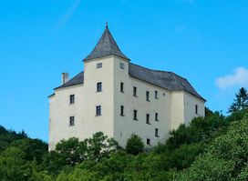 Burg Wildegg