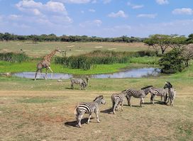 Mukuvisi Woodlands