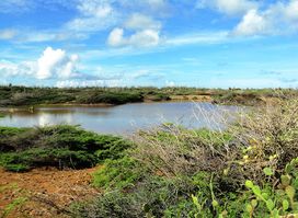 Etnia Nativa, the navel of Aruba
