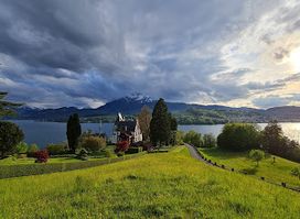 Meggenhorn