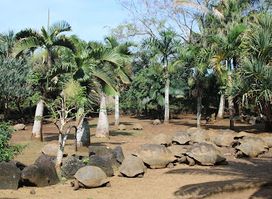 La Vanille Nature Park