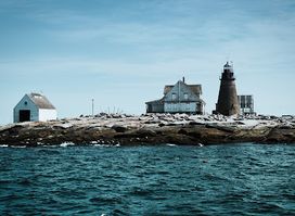 Bar Harbor Whale Watch Co