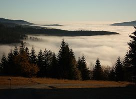 Bayerischer Wald e.V. Nature Park