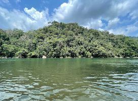 Rio Alto Madre de Dios