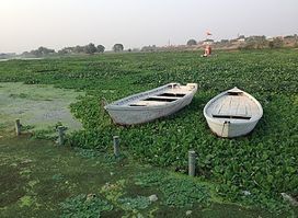 Gomti River, Uttarpradesh