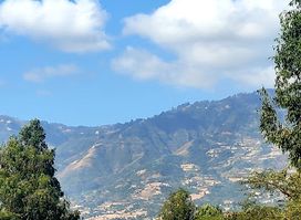 Mount Gurage