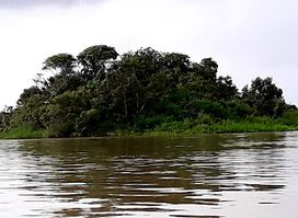 Essequibo River Source