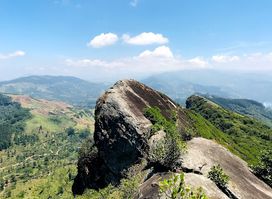 Katusu Konda කටුසු කොන්ද