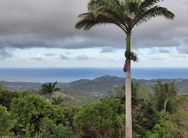 Mount Hillaby