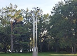 The Honouring Tree