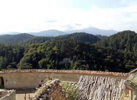 Mănăstirea Dealu