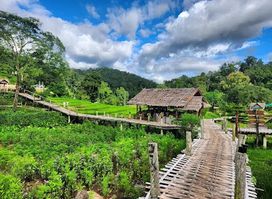 Kho Ku So Bamboo Bridge