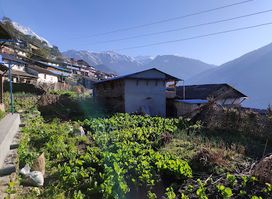 Laxmi Guest House