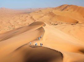 Desert Majesty
