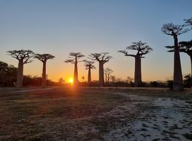 Madagascar Natural Tours