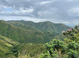 Trek Rwenzori Tours