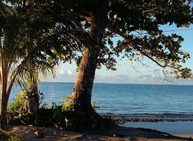 Samoa Surf Secrets