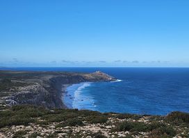 Kangaroo Island Tours & Nocturnal Tours - Kangaroo Island Hire a Guide