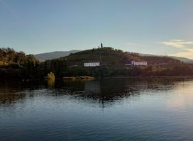 Douro & Porto Wine Festival