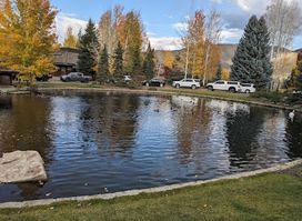Sun Valley Mall