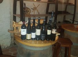 Wine Tasting Bled - Slovenian Wine